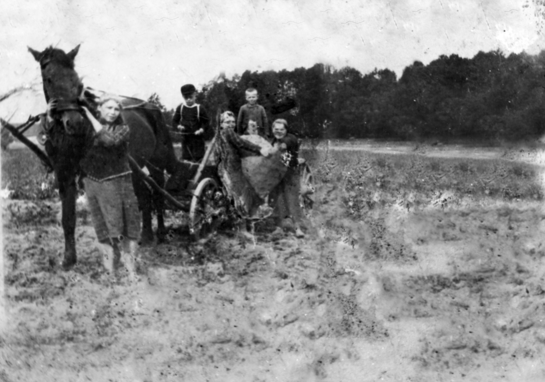 105. Wykopki i młodzi ludzie ładujący worek kartofli na wóz