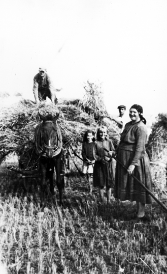 Rok i miejsce wykonania: 1944 r., wieś w byłej gm. Grzymkowice (współcześnie Grzymkowice wchodzą w skład gm. Biała Rawska, pow. rawski, woj. łódzkie).

Fotografia przedstawia pracę przy ładowaniu na wóz zboża związanego w snopki. Wykonuje ją dwóch mężczyzn – starszy stoi na wozie i układa na nim snopki, młodszy podaje mu zboże z ziemi. Przed wozem stoją dwie uśmiechnięte dziewczynki, jedna z nich trzyma konia za lejce. Nieco przed dziewczynkami stoi starsza kobieta. Z informacji darczyńcy wynika, że jest to rodzina wielopokoleniowa.

Na odwrocie zdjęcia napis: „Pomaga babci Reszkowej w zwózce żyta do stodoły, w żniwa 1944 roku /powozi koniem, trzymając go za lejce/ wnuczka Urszulka Szczęśniakówna, obecnie magister matematyki, zamieszkała w Warszawie. Na przodzie stoi babcia, która zmarła dożywszy sędziwego wieku /miała 91 lat/. Zdjęcie wykonał foto-amator /nazwisko nieznane/ we wsi i b. gminie Grzymkowice, powiatu skierniewickiego” (pisownia oryginalna).

Autor zdjęcia: nieznany.

Zdjęcie ze zbiorów prywatnych, nadesłał: Władysław Szczęśniak z Łodzi.

Nr kat. 20-8