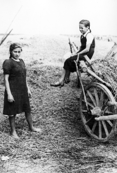 Rok i miejsce wykonania: 08.08.1943 r., brak danych.

Fotografia przedstawia dwie dziewczynki na polu. Jedna z nich siedzi na wozie ze słomą (?) i z uśmiechem patrzy na koleżankę, która stoi naprzeciw niej i spogląda w kierunku fotografującego. Obie dziewczynki są w podobnym wieku; ta, która siedzi na wozie, jest drobniejsza, starannie ubrana i obuta, druga zaś ma na sobie zwykłe, codzienne ubranie, bez butów. W tle po stronie prawej słabo widoczny rząd snopków zboża, ustawionych w kopki.

Na odwrocie zdjęcia napis: „Na pamiątkę Apoloni Tomaszewskiej (imię nieczytelne) Las 8 sierpnia 1943 r”. Przy imieniu Apoloni Tomaszewskiej dopisane innym pismem: „córka Michała zamieszkała w Wielączy k/Zamościa” (pisownia obu fragmentów oryginalna).

Autor zdjęcia: nieznany.

Zdjęcie ze zbiorów prywatnych, nadesłał/nadesłała: brak danych.

Nr kat. 22-20