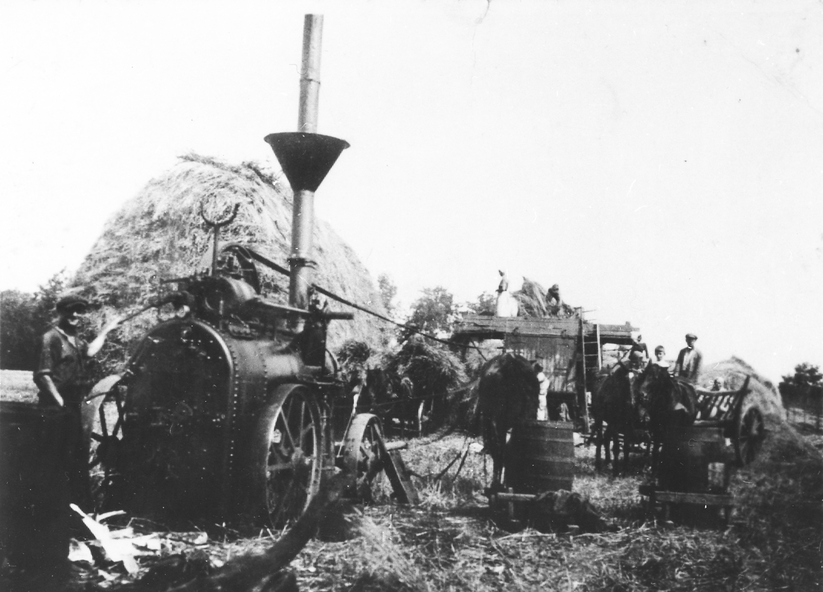 Rok i miejsce wykonania: 1937 r., brak danych. Fotografia przedstawia grupę dorosłych ludzi oraz dwóch chłopców, stojących na wozie drabiniastym, w czasie młócenia zboża przy użyciu maszyny parowej. Od maszyny parowej prowadzi pas transmisyjny w kierunku podestu, na którym ludzie rozkładają zboże do młócenia. Na zdjęciu uwidocznione zostały stogi zboża, beczki, wozy, konie i ludzie przy pracy. Według nadawcy zboże do młócenia było dostarczane wozami prosto z pola. Snopy następnie zrzucano z wozu do młocarni, która napędzana była tak zwaną lokomobilą parową. Obok stały beczki z zimną wodą, do schładzania urządzenia. Autor zdjęcia: nieznany. Zdjęcie ze zbiorów prywatnych, nadesłał: Sławomir Picher z Białej, pow. kaliski, woj. wielkopolskie. Nr kat. 48-14