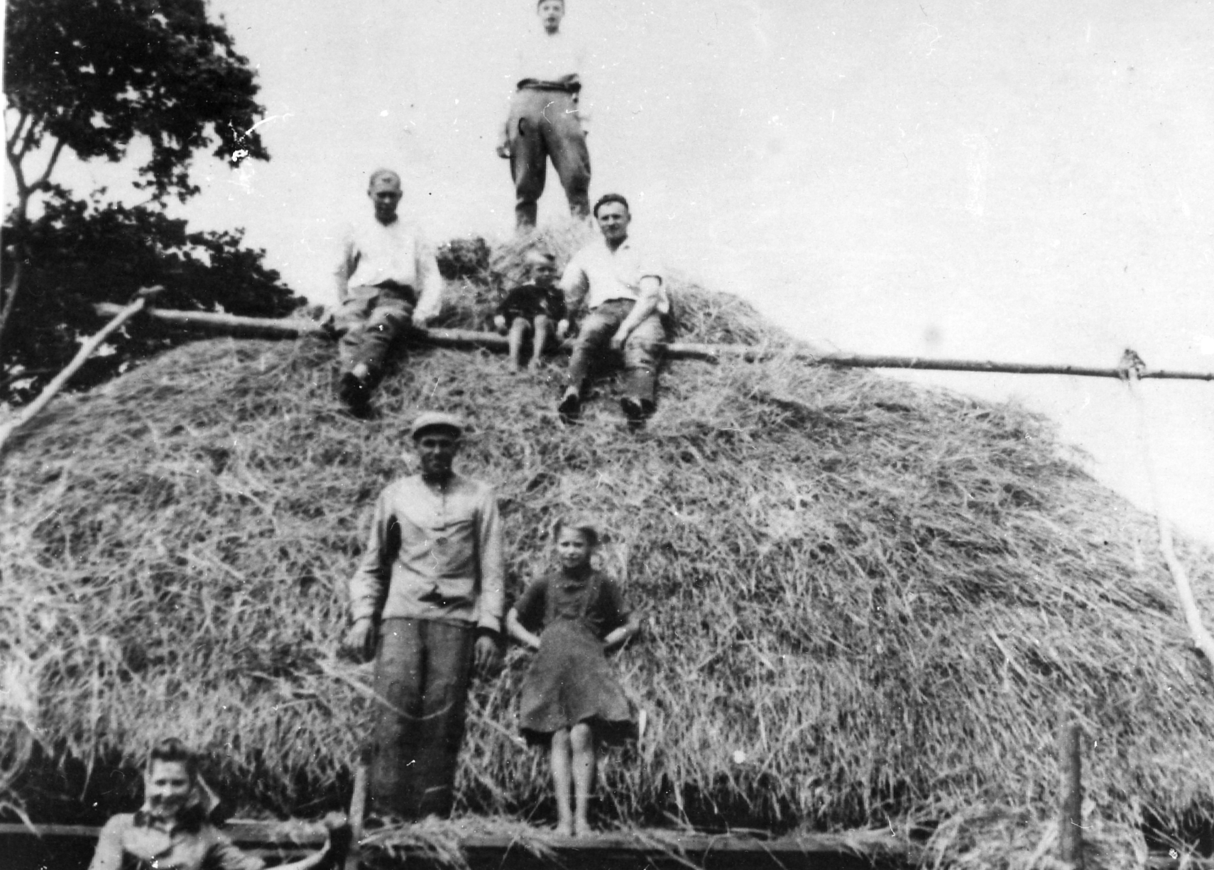 Rok i miejsce wykonania: lato 1939 r., Korwie, gm. Mejszagoła, okręg wileński, rejon wileński (obecnie Litwa).

Fotografia przedstawia czterech mężczyzn, kobietę i dwoje dzieci na tle dużego stogu siana. Osoby te stoją, siedzą lub opierają się o belki stabilizujące stóg. Mały chłopiec siedzi pomiędzy dwoma mężczyznami, a starsza dziewczynka stoi obok jednego z nich. Według informacji dołączonej do zdjęcia przedstawia ono ojca nadawcy w czasie pomocy sąsiadom przy pokrywaniu stodoły.

Autor zdjęcia: nieznany.

Zdjęcie ze zbiorów prywatnych, nadesłał/nadesłała: brak danych.

Nr kat. 59-6