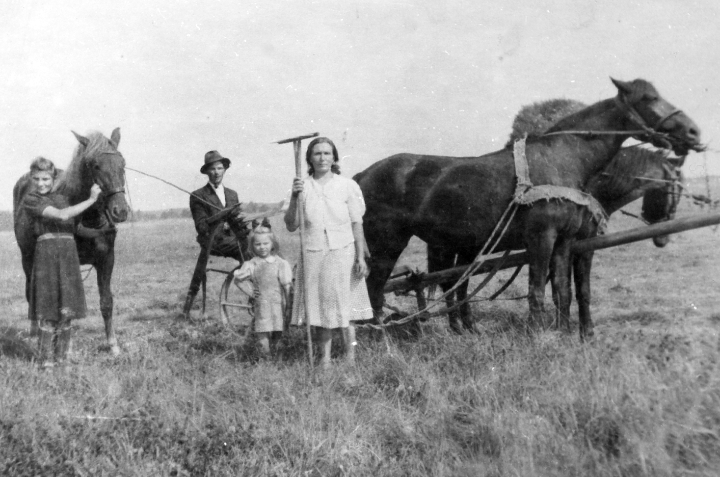 Rok i miejsce wykonania: czerwiec 1948 r., Mąkoszyce, gm. Lubsza, pow. brzeski, woj. opolskie.

Fotografia przedstawia czteroosobową rodzinę podczas sianokosów. Mężczyzna w kapeluszu siedzi na urządzeniu rolniczym zaprzężonym w dwa konie. Z przodu kobieta oparta o grabie. Mała dziewczynka stoi tuż przy niej, podparta rączką pod bok. Z lewej strony zdjęcia młoda dziewczyna trzyma trzeciego konia. Kobiety są bez nakryć głowy, najmłodsza dziewczynka ma kokardę we włosach. Według nadawczyni zdjęcia pochodzi ono z czerwca 1948 roku i przedstawia małżeństwo z dwiema córkami.

Autor zdjęcia: nieznany.

Zdjęcie ze zbiorów prywatnych, nadesłała: Alina Woźniak z Kurowa, pow. strzeliński, woj. dolnośląskie.

Nr kat. 74-8