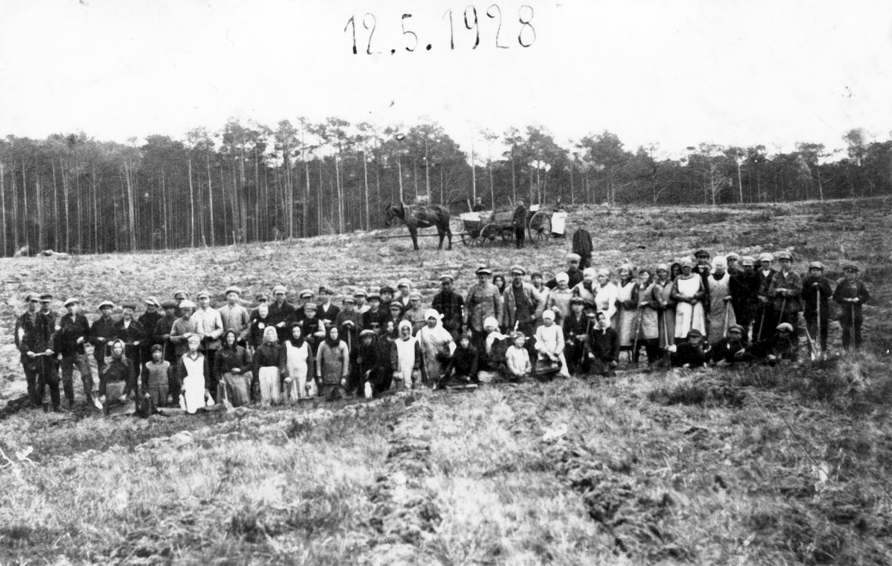 Rok i miejsce wykonania: 12.05.1928 r., Dębnica, gm. Przygodzice, pow. ostrowski, woj. wielkopolskie.

Fotografia przedstawia liczną grupę ludzi stojących na polu i pozujących do zdjęcia. Wśród nich, w pierwszych rzędach, widoczni są starsi chłopcy. W tle widać las i zaprzęg konny. Niektóre osoby trzymają w rękach narzędzia – łopaty.

Na odwrocie zdjęcia napis: „Pracownicy sadzenia lasów księcia Radziwiłła Dębnica Pow. Ostrów Wlkp. 1928” (pisownia oryginalna).

Autor zdjęcia: nieznany.

Zdjęcie ze zbiorów prywatnych, nadesłała: Helena Morcinek z Lublina, woj. lubelskie.

Nr kat. 83-12