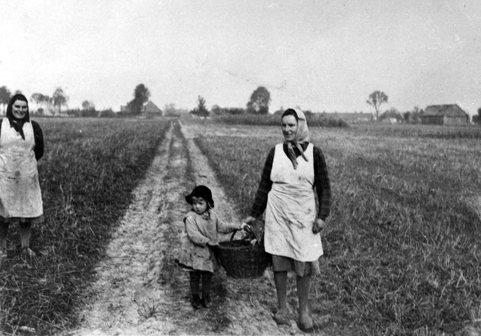 Rok i miejsce wykonania: jesień 1944 r., Kuchary, gm. Gołuchów, pow. pleszewski, woj. wielkopolskie.

Fotografia przedstawia drogę wśród pól skoszonego zboża, którą idzie młoda kobieta w chuście na głowie i jasnym fartuchu. W ręce trzyma duży kosz, którego przytrzymuje się idąca obok niej kilkuletnia dziewczynka w kapeluszu. Po lewej stronie, przy drodze stoi druga kobieta, także w chuście na głowie i w jasnym, przybrudzonym fartuchu. W oddali widać zabudowania wiejskie. Według nadawczyni zdjęcia przedstawia ono ją, jako dziecko, idącą z ciotkami zbierać ziemniaki.

Autor zdjęcia: nieznany.

Zdjęcie ze zbiorów prywatnych, nadesłała: Irena Kordan z Ostrowa Wielkopolskiego, pow. ostrowski, woj. wielkopolskie.

Nr kat. 113-4