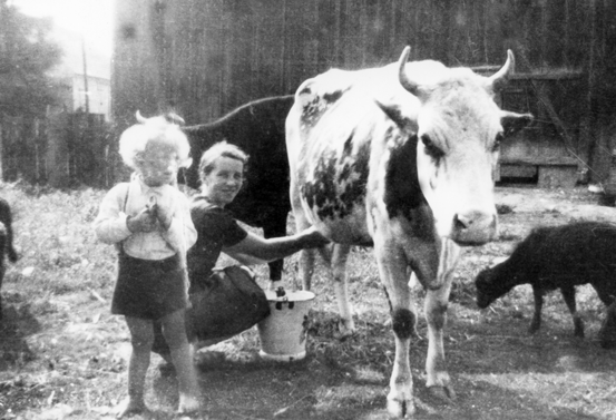 Rok i miejsce wykonania: 1947 r., Radnica, gm. Krosno Odrzańskie, pow. krośnieński, woj. lubuskie.

Fotografia przedstawia kilkuletniego chłopca towarzyszącego kobiecie, która doi krowę. Chłopiec, odwrócony tyłem do kobiety, obserwuje krowę. Ubrany jest w białą koszulkę i krótkie, ciemne spodenki. W tle widać inne zwierzęta i zabudowania gospodarcze. Według nadawcy zdjęcia przedstawia ono matkę z synkiem w czasie dojenia krów.

Autor zdjęcia: nieznany.

Zdjęcie ze zbiorów prywatnych, nadesłał: Grzegorz Mancewicz z Katrynki, pow. białostocki, woj. podlaskie.

Nr kat. 139-9