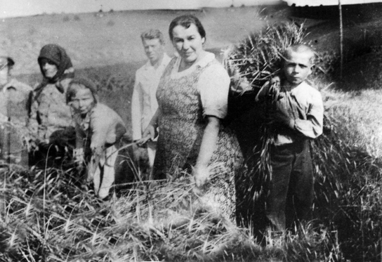 Rok i miejsce wykonania: 1935 lub 1936 r., Świniuchy na Wołyniu (obecnie Ukraina).

Fotografia przedstawia grupę ludzi stojących w jednym rzędzie, podczas żniw. Na pierwszym planie widoczna postawna kobieta w średnim wieku – w prawej ręce trzyma sierp, a w lewej zżęte zboże. Po jej prawej stronie stoi nieco schylona młoda kobieta. Dalej widać najstarszą, mizernie wyglądającą kobietę w chusteczce nasuniętej na czoło i zawiązanej pod brodą. Za nią jest jeszcze jedna osoba, słabo widoczna. Na drugim planie znajduje się młody mężczyzna, starannie ubrany, bez nakrycia głowy. Z prawej strony kadru stoi około dziewięcioletni chłopiec, z zarzuconym na ramię snopkiem.

Jest w jasnej koszuli z długimi rękawami i w długich spodniach. Według nadawczyni zdjęcia przedstawia ono żniwa we wsi Świniuchy na Wołyniu. Mieszkańcy wsi Świniuchy w większości zginęli w lipcu 1943 r., w czasie „rzezi wołyńskiej” [zob: Wieś Świniuchy na Wołyniu, 15.06.2024].

Autor zdjęcia: nieznany.

Zdjęcie ze zbiorów prywatnych, nadesłała: Halina Ostrowska z Krosna, pow. Krosno, woj. podkarpackie.

Nr kat. 196-3