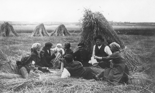 Rok i miejsce wykonania: 1928 r., Strzyżewo, gm. Zbąszyń, pow. nowotomyski, woj. wielkopolskie.

Fotografia przedstawia grupę żniwiarzy: cztery kobiety, czterech mężczyzn i niemowlę. Uwaga wszystkich, z wyjątkiem najstarszego mężczyzny patrzącego na fotografa, skupiona jest na dziecku, ubranym w jasne śpioszki i czapeczkę. Żniwiarze siedzą; jeden mężczyzna leży na słomie rozłożonej pomiędzy snopkami zboża ułożonymi w kopki. W dłoniach trzymają chleb lub placek wiejski oraz kubki, do których z białego dzbana kobieta siedząca z prawej strony kadru nalewa jakiś napój. Kobiety są w strojach roboczych: w ciemnych spódnicach i koszulach z długimi rękawami, na głowach mają chusteczki zawiązane z tyłu. Mężczyźni w jasnych koszulach, na których noszą kamizelki lub marynarki. Jeden jest bez nakrycia głowy, drugi ma kapelusz, a pozostali – kaszkiety. Według nadawcy zdjęcia przedstawia ono żniwa u nauczyciela Jana Tomińskiego we wsi Strzyżewo. Osoby widoczne na zdjęciu to rodzina nauczyciela. Autor zdjęcia: Edward Tomiński (zob.: Patron szkoły E. Tomiński, 10.09.2024).

Zdjęcie ze zbiorów prywatnych, nadesłał: Wojciech Chałupka z Wolsztyna, pow. wolsztyński, woj. wielkopolskie.

Nr kat. 230-14