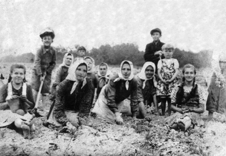 Rok i miejsce wykonania: 1944 r., Dobrowola, gm. Borzechów, pow. lubelski, woj. lubelskie.

Fotografia przedstawia grupę młodych kobiet pracujących na kolanach w polu. Towarzyszą im cztery dziewczynki i dwóch starszych chłopców. Po lewej i prawej stronie kadru siedzą dziewczynki z warkoczami. Są bez butów. Dziewczynka po prawej ma w dłoniach jakąś robótkę. Kobiety są w strojach roboczych, na głowach mają jasne chusty zawiązane pod brodami. Nieco za nimi stoją dwaj chłopcy w kaszkietach, trzymający w rękach motyki. Obok nich stoją małe dziewczynki. Zgodnie z dołączonym przez nadawcę zdjęcia opisem: „zdjęcie wykonano […] w 1944 roku przy pieleniu buraków, z lewej strony z boku siedzi moja mama, ale z robótką ręczną, bo jak mi opowiadała przyszła tylko zrobić zdjęcie, przy pieleniu buraków nie pomagała. Obok mamy ten młody chłopiec z motyką, to mamy brat Zdybel Marian i moja babcia, ludzie z wioski” (pisownia orygnalna).

Autor zdjęcia: nieznany.

Zdjęcie ze zbiorów prywatnych, nadesłała: Elżbieta Filipek z Lublina, woj. lubelskie.

Nr kat. 231-7