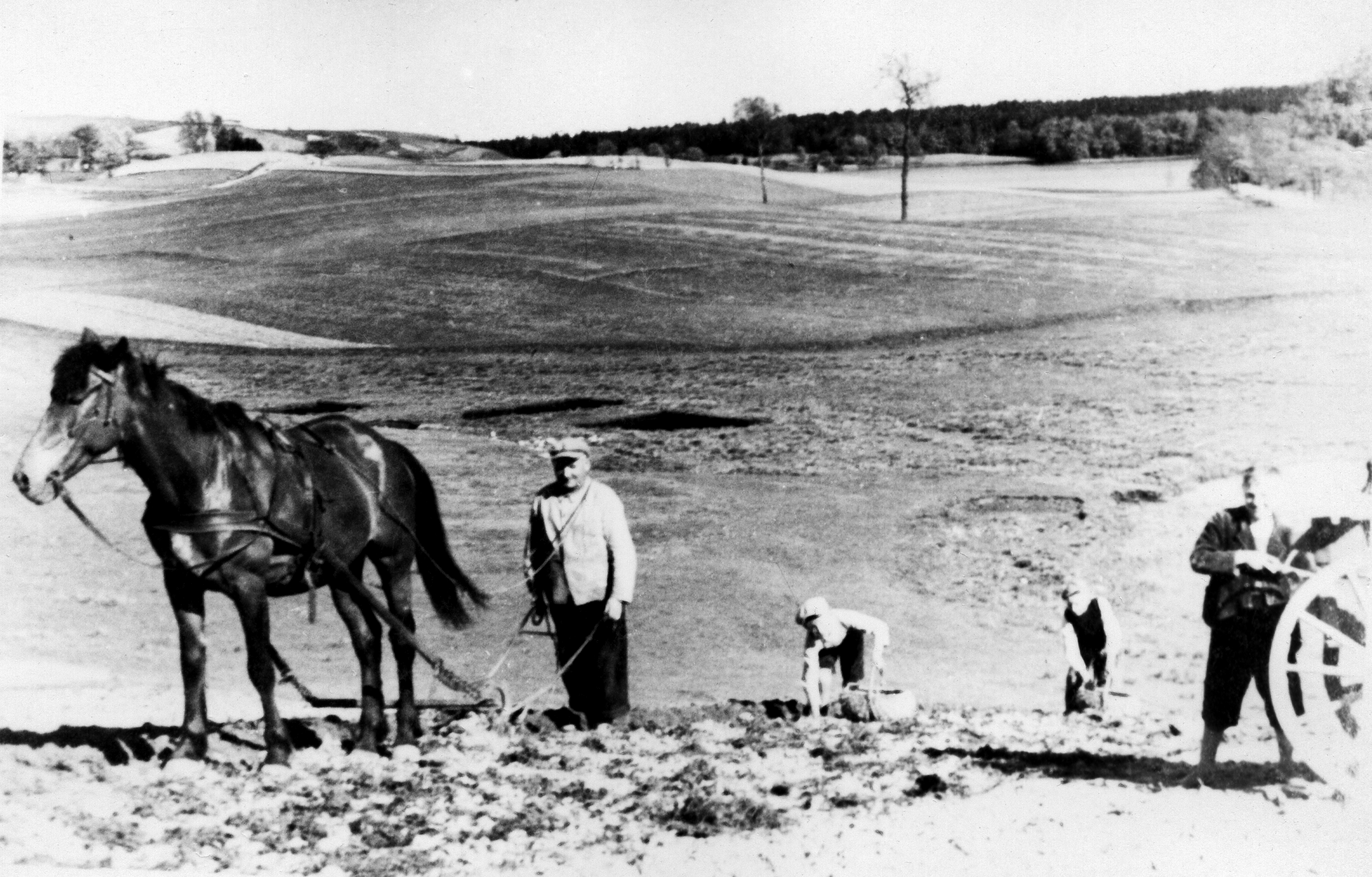 Rok i miejsce wykonania: brak danych.

Fotografia przedstawia pracę przy sadzeniu ziemniaków, wykonywaną przez cztery osoby: mężczyznę i trzech chłopców (około dziesięcioletnich). Na pierwszym planie widoczny koń zaprzężony do pługa, który robi bruzdy do sadzenia ziemniaków. Za pługiem stoi mężczyzna w codziennym ubraniu i kaszkiecie, który trzyma w rękach pług, a lejce ma zarzucone na ramiona. Za nim idzie dwóch chłopców. Każdy ma duży, pleciony kosz z ziemniakami. Trzeci chłopiec stoi przy wozie (fotografia uchwyciła jego sylwetkę jedynie częściowo). W rękach też trzyma kosz. Wokół widać łagodne pagórki wiosennych, pustych jeszcze pól; w oddali linia lasu. Zdjęcie zrobiono w słoneczny dzień.

Autor zdjęcia: nieznany.

Zdjęcie nadesłał: brak danych.

Nr kat. 321-1