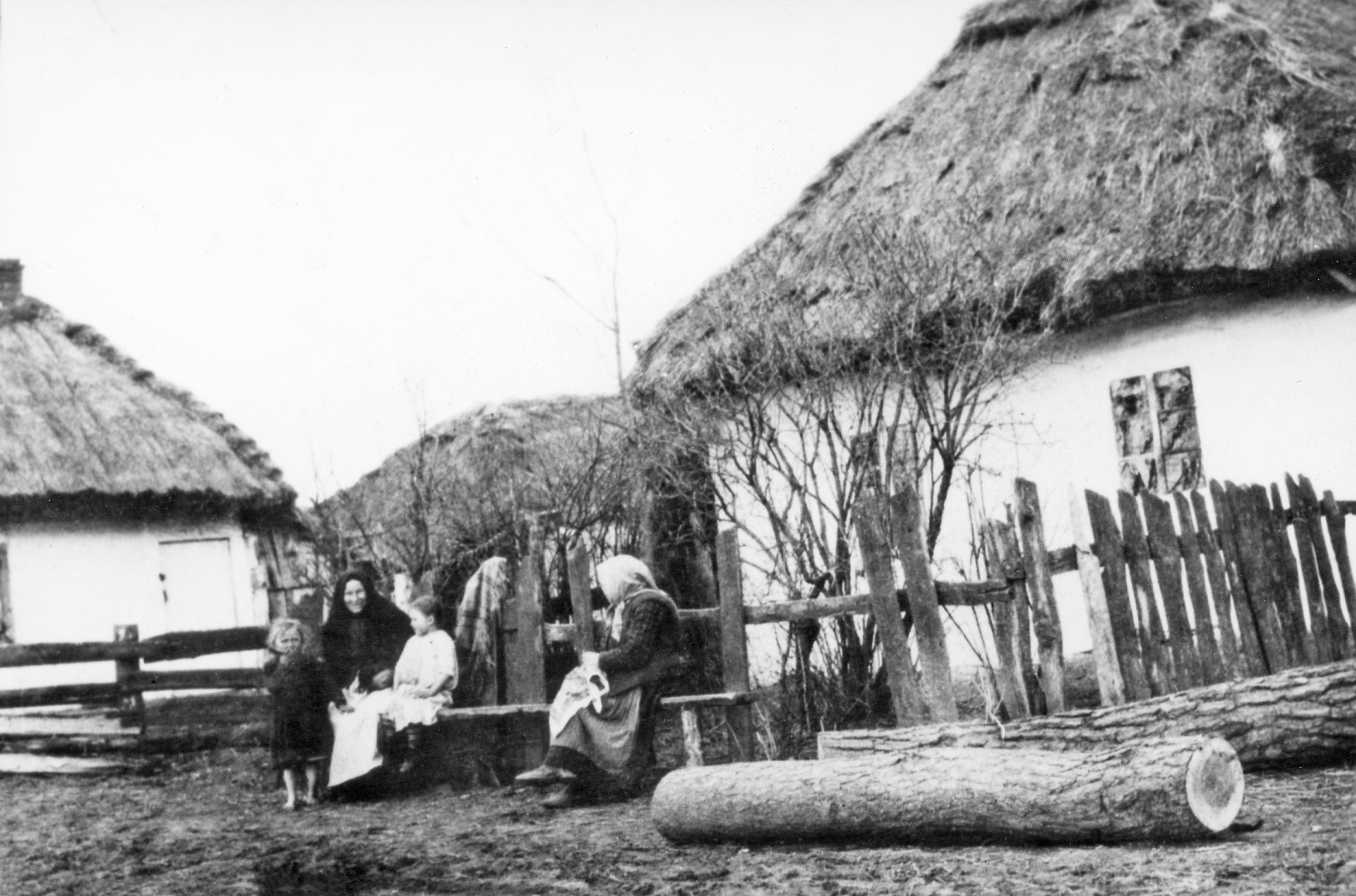 Rok i miejsce wykonania: okres I wojny światowej, nieznana wieś z okolic Trembowli, obwód tarnopolski, Podole, obecnie Ukraina.

Fotografia przedstawia zabudowania wiejskie i dwie starsze kobiety z dwójką dzieci siedzące na ławce przy płocie przed jedną z chat. Tłem uchwyconej sceny są trzy pobielone budynki kryte strzechą oraz wyszczerbiony płot z nieregularnie umieszczonych desek. Jedna z kobiet ubrana jest w ciemną odzież i ma na głowie czarną chustę. Druga, siedząca po prawej stronie, bokiem do obiektywu, ma na sobie ciemny sweter i długą spódnice z fartuchem, a włosy przykrywa jasną chustą. Przy kobiecie ubranej na czarno stoi bosonogie i rozczochrane dziecko (dziewczynka) w ciemnej odzieży, a na ławce obok niej siedzi druga, młodsza dziewczynka w jasnej sukience. Po prawej stronie fotografii widać leżące na drodze grube pnie ściętych drzew. Zdjęcie jest bardzo malownicze.

Autor zdjęcia: Mikołaj Bogdanowicz, ojciec nadawcy (więcej informacji o autorze zdjęcia zob. opis fotografii 233A-187).

Zdjęcie ze zbiorów prywatnych, nadesłał: Stanisław Bogdanowicz z Otwocka, pow. otwocki, woj. mazowieckie.

Nr kat. 233A-202