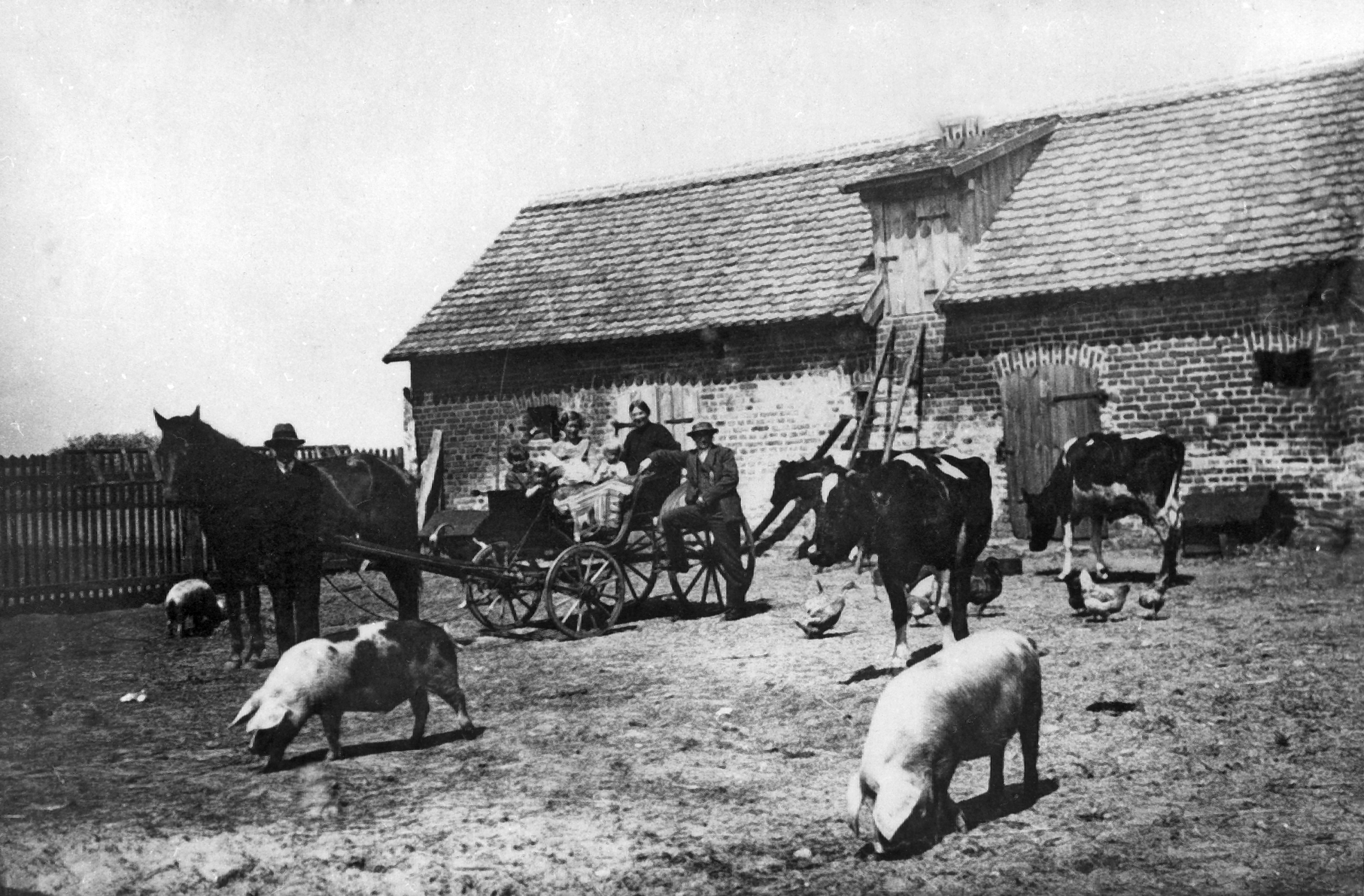 Rok i miejsce wykonania: 1931 lub 1932 r., Pawłów (prawdopodobnie gm. Rejowiec Fabryczny, pow. chełmski, woj. lubelskie).

Fotografia przedstawia dorożkę stojącą na obszernym podwórzu gospodarstwa. Jest zaprzężona w tylko jednego konia, trzymanego za uzdę przez elegancko ubranego mężczyznę w kapeluszu. Obok dorożki stoi drugi mężczyzna, także w kapeluszu, wspierając nogę na szprysze drewnianego koła. Po podwórzu chodzą trzy czarno-białe krowy, trzy świnie oraz kury. Zdjęcie zrobione zostało na tle budynku gospodarczego stanowiącego jeden bok podwórza – drugi jego bok wyznacza drewniane ogrodzenie, zrobione ze sztachet.

Z relacji nadawczyni zdjęcia wynika, że fotografię wykonano podczas wizyty jej dziadków, państwa Kluczów, u państwa Pawłowskich. Panowie Klucz i Pawłowski byli nauczycielami w wiejskich polskich szkołach: pan Pawłowski we wsi Pawłów, dziadek właścicielki zdjęcia – w Rejowcu. Fotografię wykonano na podwórzu domu nauczyciela z Pawłowa.

Autor zdjęcia: nieznany.

Zdjęcie ze zbiorów prywatnych, nadesłała: Joanna Malinowska ze Żnina, pow. żniński, woj. kujawsko-pomorskie.

Nr kat. 77-1