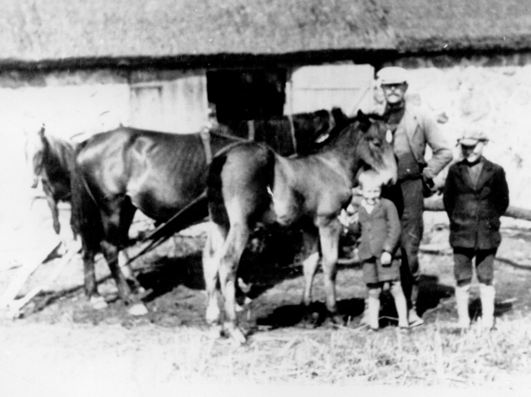 Rok i miejsce wykonania: 1943 r., Rumienica, gm. Lubawa, pow. iławski, woj. warmińsko-mazurskie.

Fotografia przedstawia mężczyznę z dwójką chłopców w wieku około sześciu i dwunastu lat. Stoją na podwórzu z dwoma końmi i źrebakiem. Młodszy z chłopców głaszcze źrebaka. W tle widać zabudowania gospodarcze kryte strzechą. Według właścicielki zdjęcia przedstawia ono gospodarstwo rodziców jej matki.

Autor zdjęcia: nieznany.

Zdjęcie ze zbiorów prywatnych, nadesłała: Agnieszka Limańska z Rybna, pow. działdowski, woj. warmińsko-mazurskie.

Nr kat. 117-5