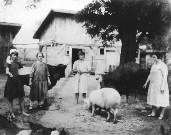 Rok i miejsce wykonania: ok.1930-35 r., Chorośnica, Podole, obwód lwowski, Ukraina.

Fotografia przedstawia dwie bardzo młode oraz dwie starsze kobiety (ich matki?). Młodsze mają krótko ostrzyżone włosy („na pazia”), są w strojach codziennych i nie mają obuwia. Jedna z nich (po lewej stronie zdjęcia) trzyma duże, okrągłe naczynie (być może sito), z którego bierze karmę dla kur wydziobujących coś przed nią. Druga młoda kobieta trzyma na sznurach dwie krowy. Starsze kobiety także są w codziennych ubraniach, ale dodatkowo mają buty. Pośrodku, między kobietami, stoi dorodna świnia. W tle widać okazałe zabudowania gospodarcze.

Autor zdjęcia: Wanda Lebiedzińska

Zdjęcie ze zbiorów prywatnych, nadesłała: Aleksandra Gancarz z Andrychowa, pow. wadowicki, woj. małopolskie.

Nr kat. 125-19