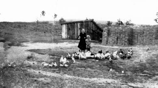 Rok i miejsce wykonania: 1941 r., Karpno, gm. Lipnica, pow. bytowski, woj. pomorskie.

Fotografia przedstawia kobietę z kilkuletnią dziewczynką pośrodku dużego podwórza, w czasie karmienia drobiu. Kobieta ubrana jest w czarną suknię, dziewczynka tuli się do niej. Podwórze jest obszerne i błotniste, w tle widać szopę, a w oddali łąki. Według nadawczyni zdjęcia przedstawia ono jej babcię z córkę podczas karmienia drobiu.

Autor zdjęcia: nieznany.

Zdjęcie ze zbiorów prywatnych, nadesłała: Barbara Zblewska z Leśna, pow. chojnicki, woj. pomorskie.

Nr kat. 204-21