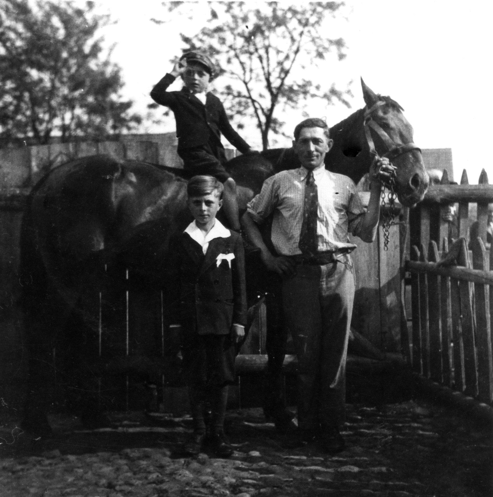 Rok i miejsce wykonania: 25.05.1947 r., Wieszkowo, gm. Krzywiń, pow. kościański, woj. wielkopolskie.

Fotografia przedstawia mężczyznę trzymającego za uzdę dorodnego konia, na którym siedzi i salutuje około czteroletni chłopiec w rogatywce. Obok mężczyzny stoi drugi chłopiec w stroju komunijnym. Wszyscy są odświętnie ubrani. Według nadawcy zdjęcia przedstawia ono jego samego (chłopiec w stroju komunijnym) z młodszym bratem Józefem oraz ich ojcem, Tomaszem. Głównym powodem jego wykonania była przede wszystkim chęć utrwalenia konia, który został przysłany z USA przez stryja chłopców – Lecha. Nabył on konia w Pittsburghu i wysłał go statkiem do Gdyni, skąd ojciec nadawcy przywiózł zwierzę do Wieszkowa. Było to pod koniec stycznia 1947 roku. Zdjęcie zostało wysłane do USA, jako dowód, że koń dotarł do adresata.

Na odwrocie zdjęcia napis: „Pamiątka z dnia 25 maja 1947 r. ofiaruje Jasiu i Józio swemu kuzynowi Edziowi” (pisownia oryginalna).

Autor zdjęcia: według nadawcy prawdopodobnie Stanisław Ciemnoczełowski.

Zdjęcie ze zbiorów prywatnych, nadesłał: Jan Grzesinski z Krotoszyna, pow. krotoszyński, woj. wielkopolskie.

Nr kat. 343-18