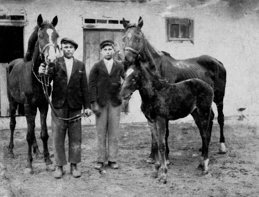 Rok i miejsce wykonania: 17.08.1941 r., brak danych.

Fotografia przedstawia dwóch chłopców, trzymających za uzdy dwa duże konie i jednego źrebaka. Chłopcy mają na sobie skromną odzież: przykrótkie spodnie, podniszczone marynarki, białe koszule bez kołnierzyków; na głowach noszą kaszkiety. Zdjęcie zrobiono na podwórzu przed rozległym budynkiem gospodarczym.

Według relacji nadawczyni zdjęcia przedstawia ono jej tatę, Władysława, gdy miał 15 lat, oraz jego brata Józefa w wieku 17 lat. Zdjęcie zostało zrobione przez ich kuzyna Józefa Mitkowskiego (z Sikorzyc) w rodzinnym domu ojca, na podwórku przed stajnią. Zrobiono je na prośbę brata ojca – Juliana (stryja właścicielki zdjęcia). Julian w wieku 19 lat (w kwietniu 1940 r.), został wywieziony na roboty przymusowe do Niemiec. W jednym z listów do rodziny prosił o przysłanie zdjęcia młodszych braci z jego ulubionymi końmi. Według relacji nadawczyni zdjęcia stryj wiedział, że Niemcy rekwirują konie i obawiał się, że i one zostaną zabrane. Jego przeczucia sprawdziły się – 19 stycznia 1945 roku konie zostały zabrane przez uciekających Niemców.

Autor zdjęcia: Józef Mitkowski, kuzyn osób uwiecznionych na fotografii.

Zdjęcie ze zbiorów prywatnych, nadesłała: Anna Kruk z Miechowic Małych, pow. tarnowski, woj. małopolskie. 

Nr kat. 254-5