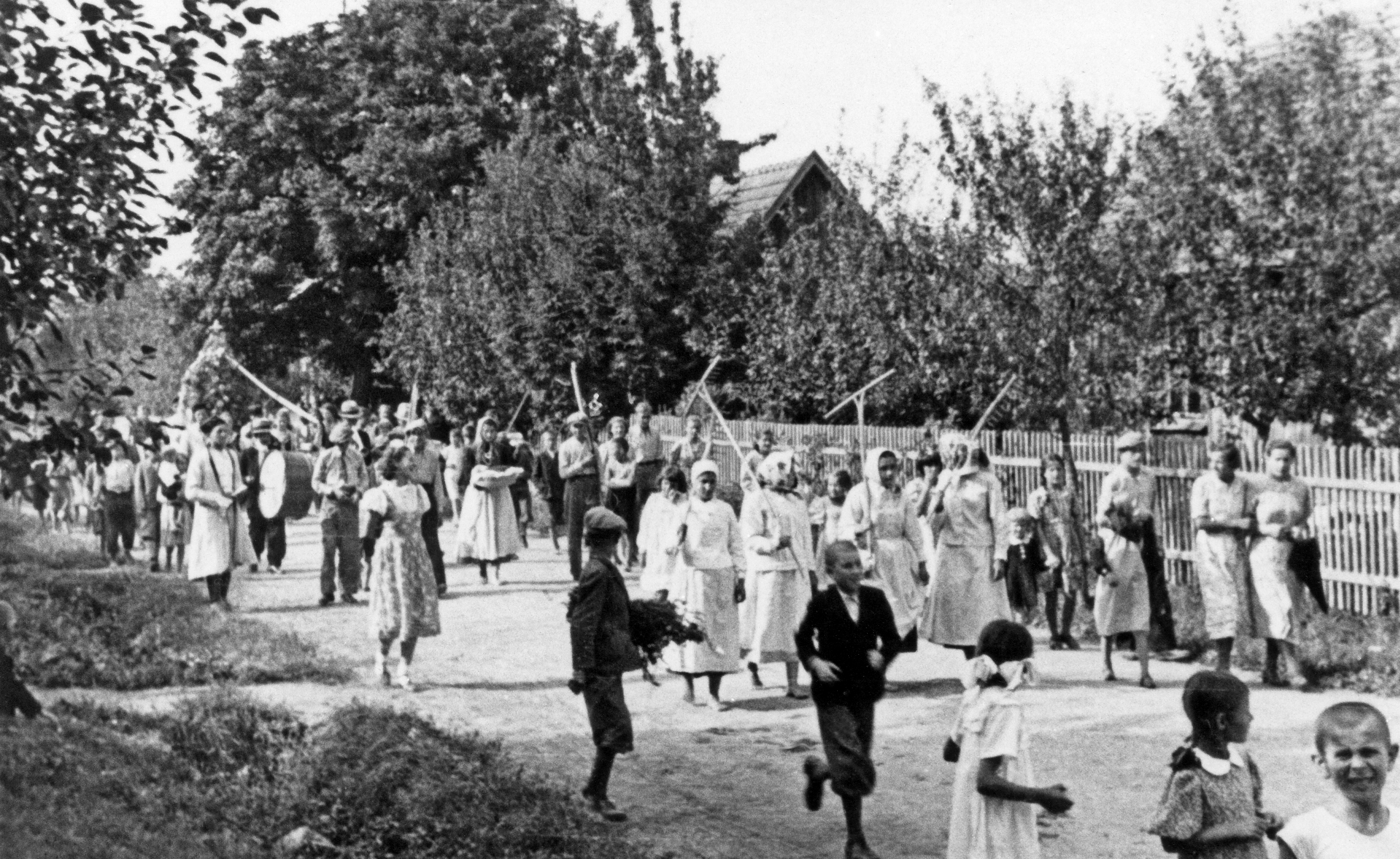 Rok i miejsce wykonania: 1936 r., Sobniów, gm. Jasło, pow. jasielski, woj. podkarpackie.

Fotografia przedstawia pochód dożynkowy przemierzający wiejską drogę, wzdłuż zabudowań gospodarczych. Widoczne są drewniane płoty, drzewa w sadzie, dachy domów. W korowodzie idą głównie młode osoby i wiele dzieci. Pierwsza, liczniejsza grupa, to młode kobiety idziewczęta w jasnych bluzkach i spódnicach. W rękach trzymają grabie, wspierając je na ramionach. Za nimi widać kobietę, która idzie środkiem drogi, w rękach trzymając chleb (?). Nieco dalej idą muzykanci i inni uczestnicy dożynek.

Autor zdjęcia: nieznany.

Zdjęcie ze zbiorów prywatnych, nadesłała: Beata Wójcik.

Nr kat. 324-6