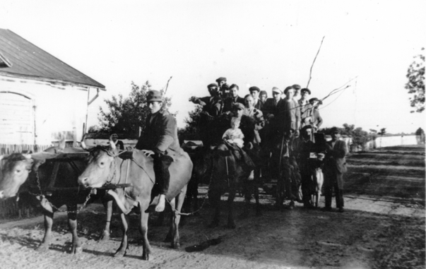 Rok i miejsce wykonania: 1943 r., wieś Grębów, gm. Grębów, pow. tarnobrzeski, woj. podkarpackie (do końca II wojny światowej majątek Dolańskich). 

Fotografia przedstawia zaprzęg składający się z dwóch par wołów w jarzmach przy wozie, na którym siedzi duża grupa rozweselonych mężczyzn, trzymających w rękach długie baty. Na jednym z wołów w drugiej parze siedzi mężczyzna z małym dzieckiem. Według nadawcy zdjęcia mężczyźni jadący wozem „strzelali z batów”, w związku z imieninami księgowego w majątku Dolańskich w Grębowie.

Autor zdjęcia: nieznany.

Zdjęcie ze zbiorów prywatnych, nadesłał: Ignacy Starowiejski z Waplewa Wielkiego, pow. sztumski, woj. pomorskie.

Nr kat. 10-21