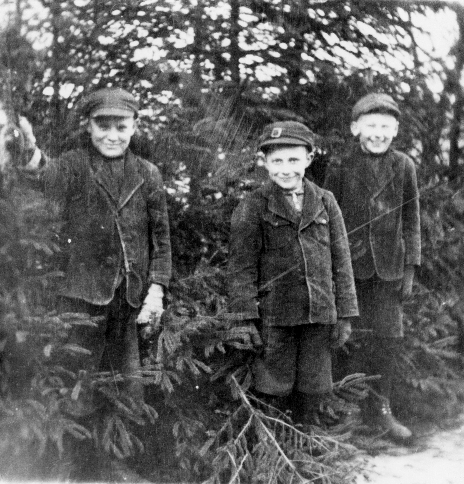 Rok i miejsce wykonania: 1942 r., okolice Prokowa i Prokowskich Chrust, gm. Kartuska, pow. kartuski, woj. pomorskie (obrzeża Kaszubskiego Parku Krajobrazowego).

Fotografia przedstawia trzech nastoletnich chłopców w zbliżonym wieku, ubranych w podobnym stylu w odzież przypominającą partyzantów: kurtki wyglądające jak mundurki, ciemne spodnie i czapki maciejówki z plakietami (jakość techniczna zdjęć uniemożliwia ich odczytanie). Chłopcy stoją na skraju lasu, z zawadiackimi minami i z uśmiechami na twarzach. Z informacji podanych przez nadawcę zdjęcia wynika, że przedstawia ono od lewej: Albina Szredera, Stanisława Niklasa i Alfonsa Szredera, a wykonane zostało w okolicach Prokowa.

Autor zdjęcia: nieznany.

Zdjęcie ze zbiorów prywatnych, nadesłał: Wojciech Okraj z Sopotu, pow. sopocki, woj. pomorskie.

Nr kat. 321-2