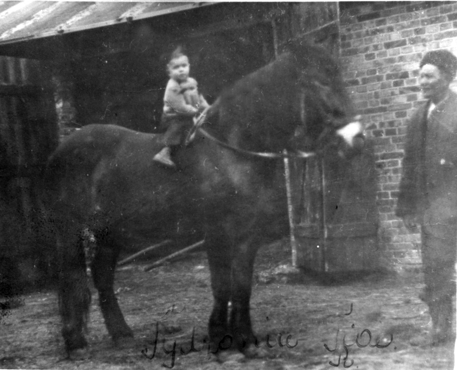 Rok i miejsce wykonania: 1946 r., Medyka, gm. Medyka, pow. przemyski, woj. podkarpackie. Fotografia przedstawia małego chłopca siedzącego na koniu i trzymającego go za lejce. Obok stoi starszy mężczyzna w futrzanej czapie. W tle murowane zabudowania gospodarcze. Według nadawcy zdjęcia przedstawia ono kuzyna ze strony żony, małego Tadzia M., siedzącego na koniu. Na odwrocie zdjęcia napis: „Wysyła Tadzio swoje zdjęcie na pamiątkę Stasi Bugatowyj! Mazur Tadzio” (pisownia oryginalna). Autor zdjęcia: nieznany. Zdjęcie ze zbiorów prywatnych, nadesłał: Piotr Węgrzynowski z Pabianic, woj. łódzkie. Nr kat. 80-5